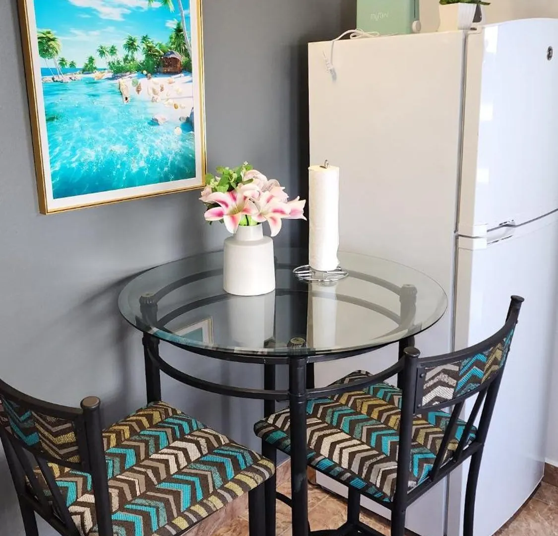 San Juan Villa Palmeras New Cozy Apartment